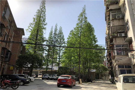 电梯房欧洲尚品豪华精装修保持很新，家电齐全，拎包入住